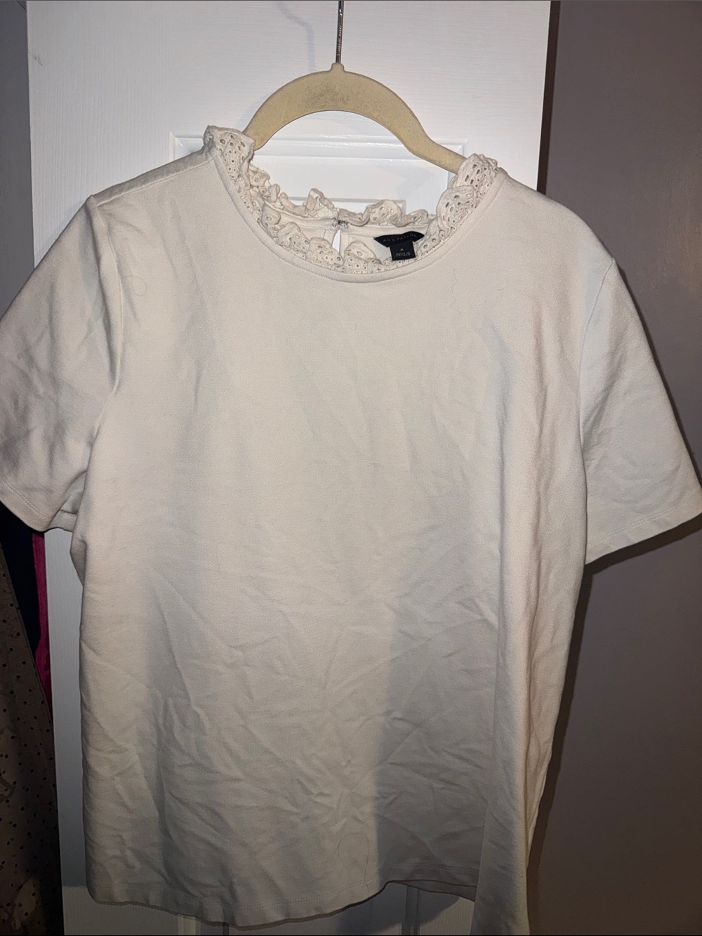 Ann Taylor Cream Short Sleeve Top with Lace Trim